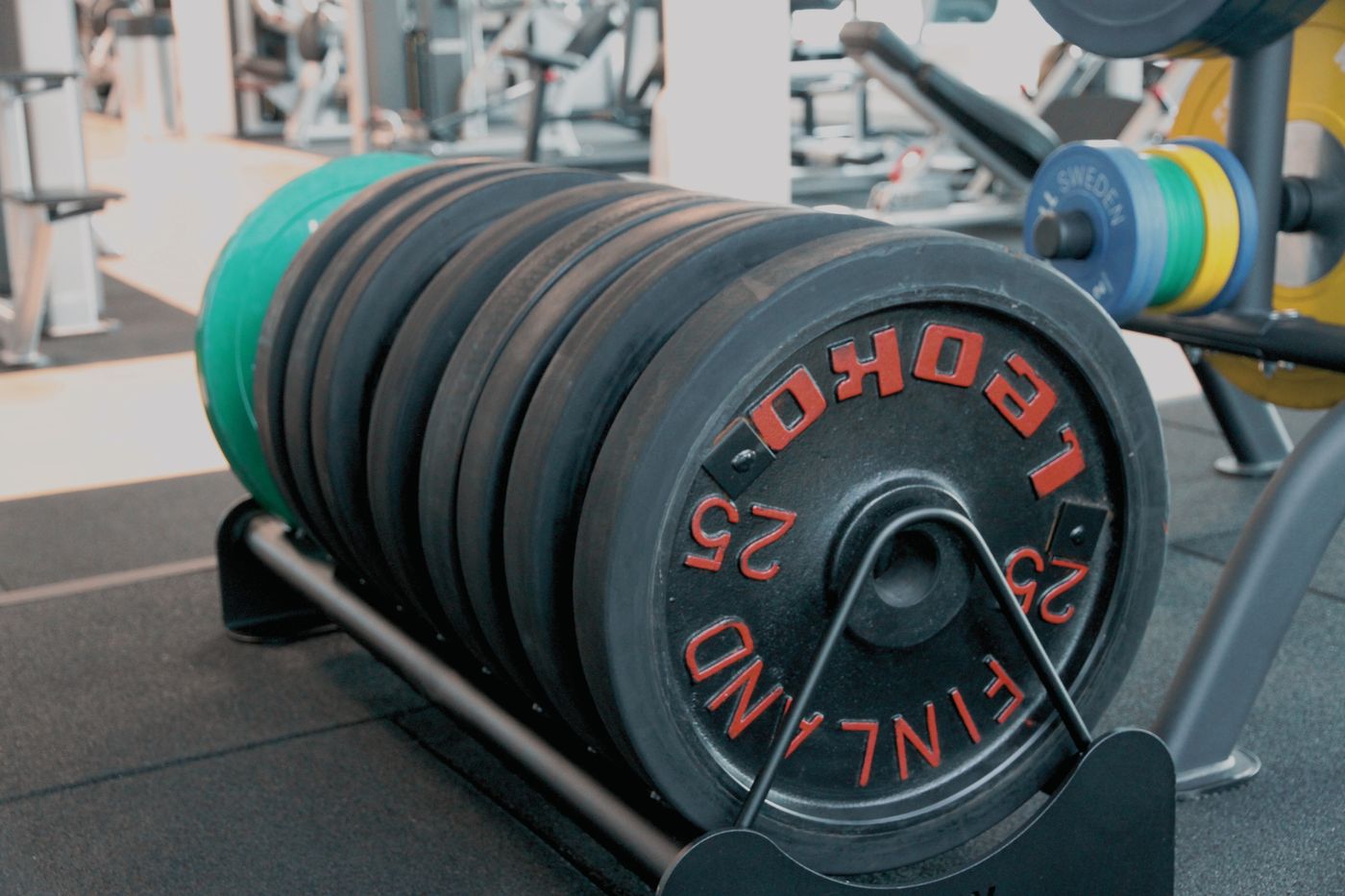 Disques de musculation rangés sur un rack en salle de sport